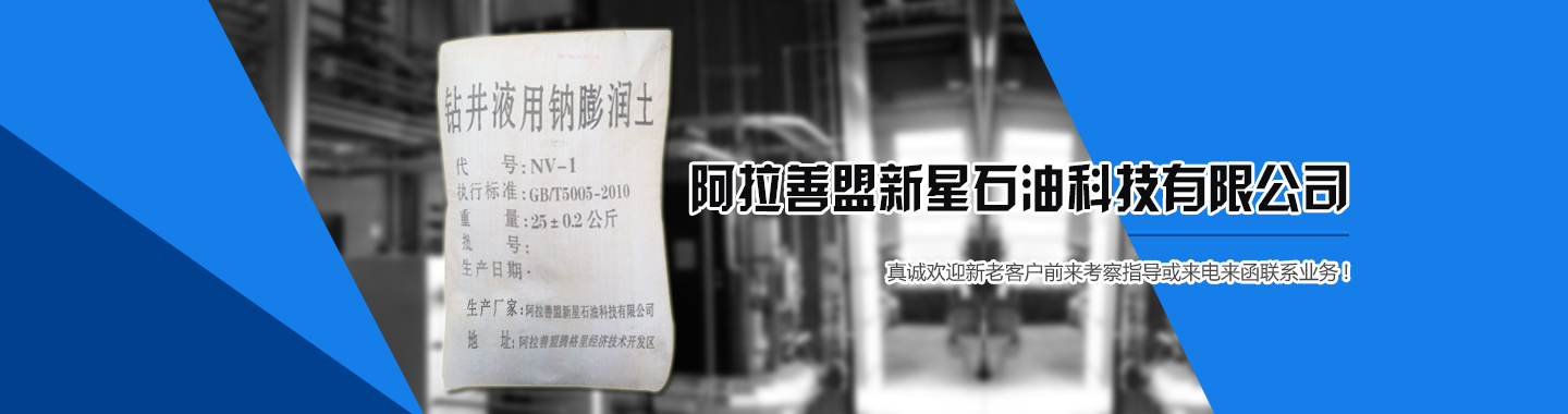阿拉善盟新(xīn)星石油科(kē)技有(yǒu)限公司