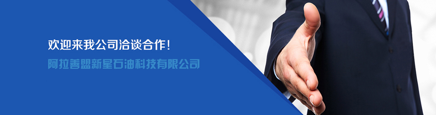 阿拉善盟新(xīn)星石油科(kē)技有(yǒu)限公司